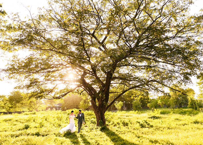 polk-studios-homepage14